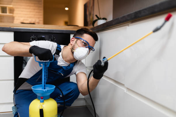 Best Affordable Pest Control Services  in Kingsburg, CA