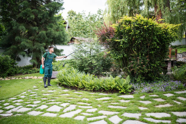Best Pest Inspection Near Me  in Kingsburg, CA