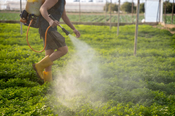 Best Ant Control Services  in Kingsburg, CA