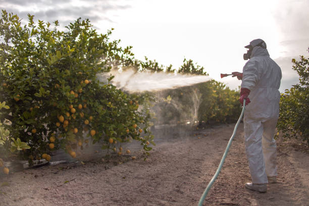 Best Pest Control Near Me  in Kingsburg, CA