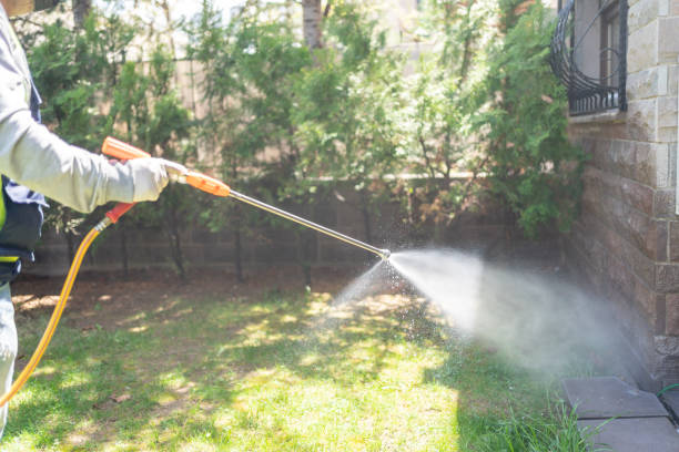 Best Residential Pest Control  in Kingsburg, CA