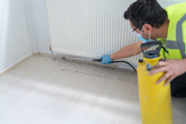 Best Affordable Pest Control Services  in Kingsburg, CA