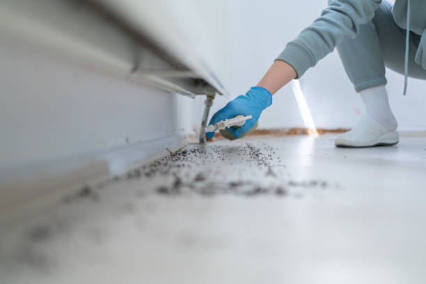 Best Wasp Removal Services  in Kingsburg, CA