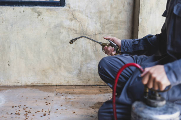 Best Commercial Pest Control Services  in Kingsburg, CA